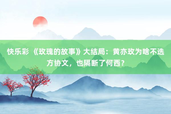 快乐彩 《玫瑰的故事》大结局：黄亦玫为啥不选方协文，也隔断了何西？